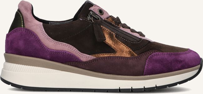 Bruine GABOR Lage sneakers 306 Bruine GABOR Lage sneakers 306 - large
