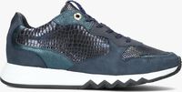 Blauwe FLORIS VAN BOMMEL Lage sneakers SFW-10078 - medium