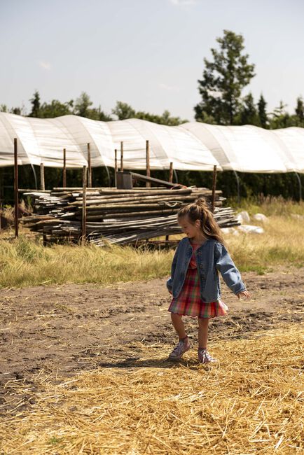 Multi JENEST Mini jurk KIKI DRESS - large