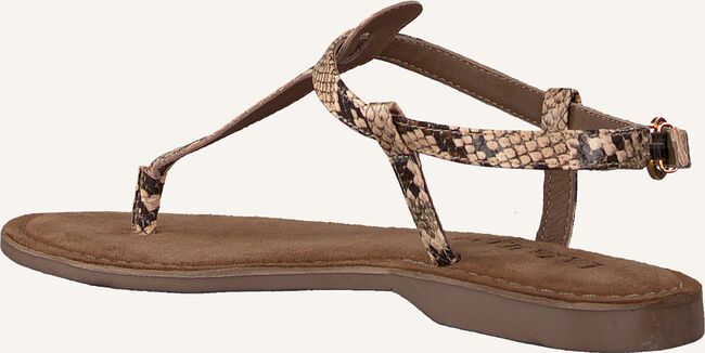 Beige LAZAMANI Platte sandalen 75.611 Beige LAZAMANI Platte sandalen 75.611 - large
