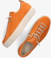Oranje PAUL GREEN Lage sneakers 5017 - medium