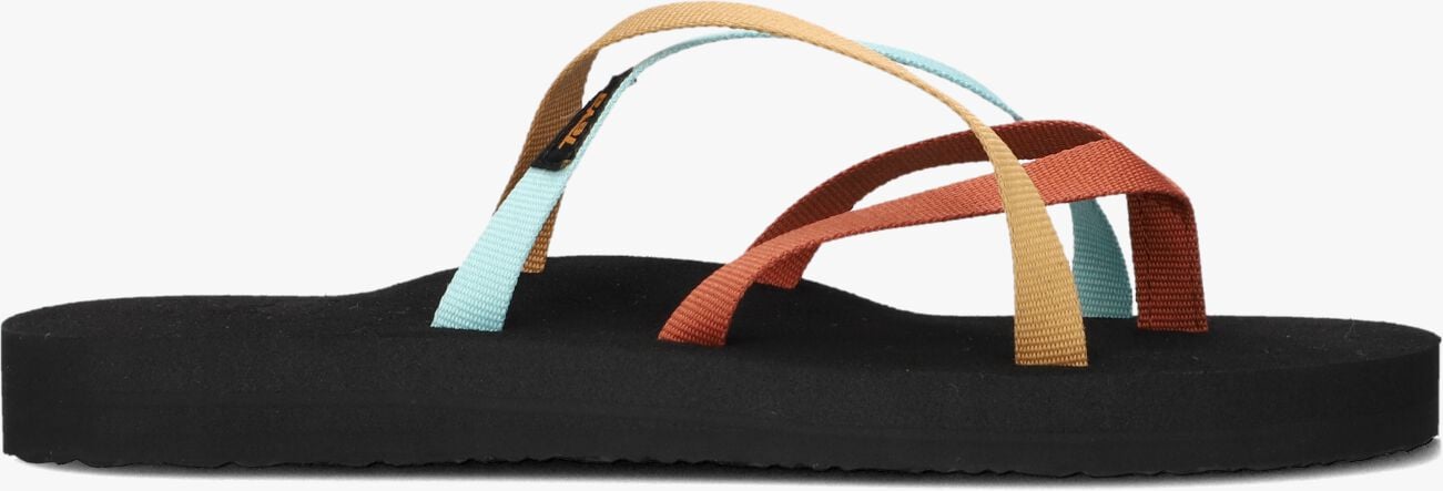 Teva ReFlip Teenslippers Heren