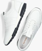 Witte VAN LIER Lage sneakers 2315544 - medium
