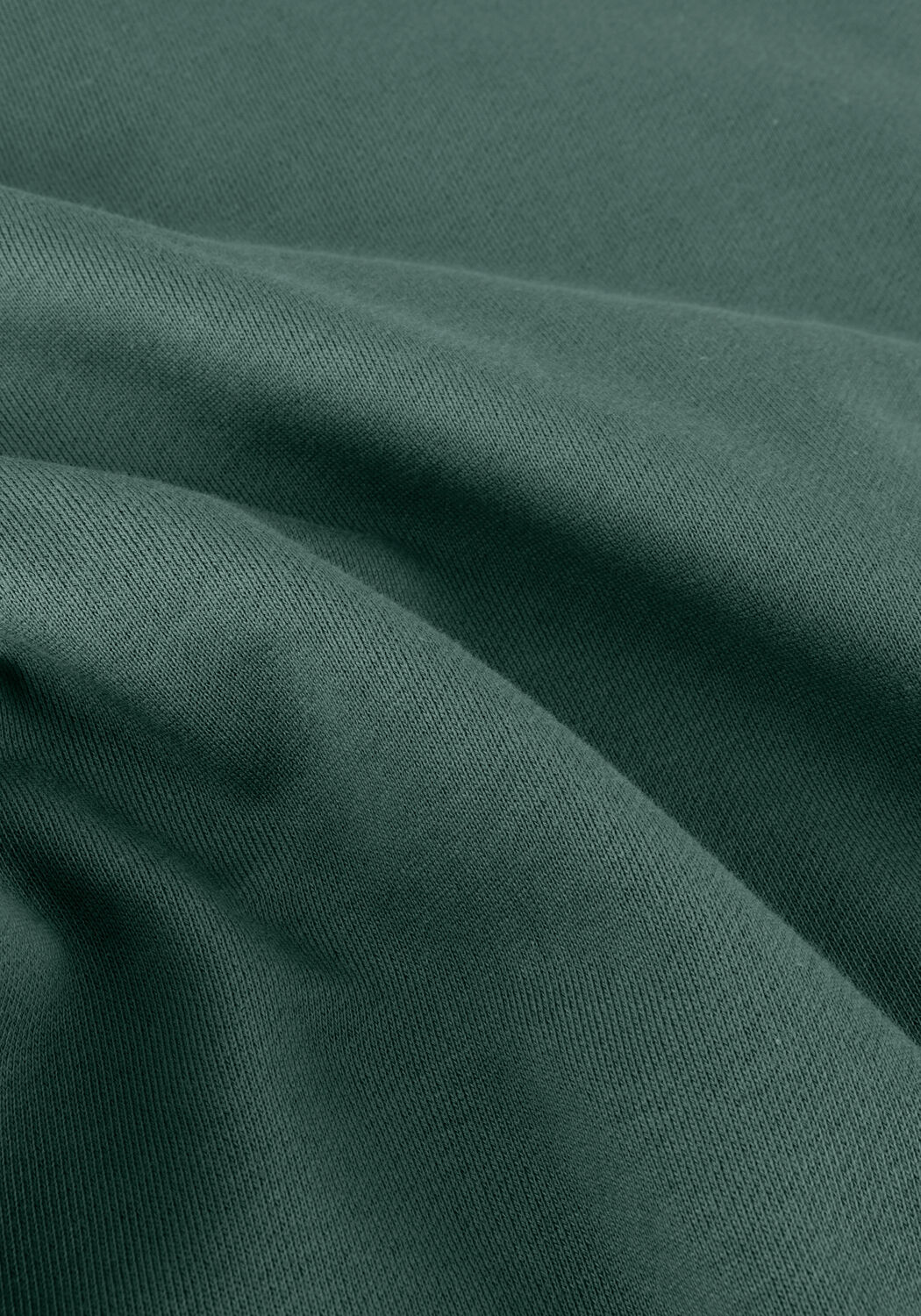 Groene PURE PATH Trui CREWNECK WITH CHEST EMBROIDERY - large