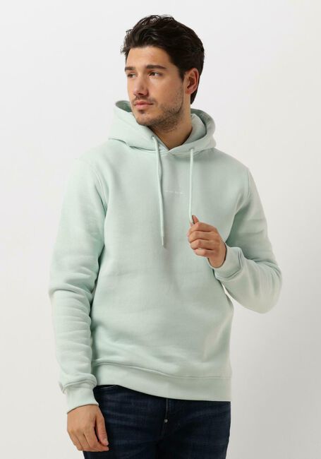 Mint PURE PATH Trui HOODIE WITH FRONT AND TRIANGLE BACK PRINT - large