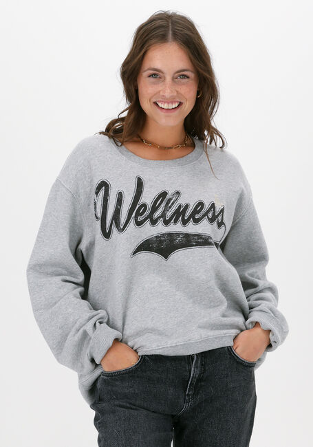 Lichtgrijze LEON & HARPER Sweater SORTIE JC55 WELL - large