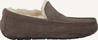 Taupe UGG Pantoffels ASCOT - medium