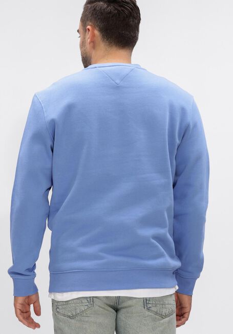 Beige TOMMY JEANS Sweater TJM REG LINEAR CREW EXT - large