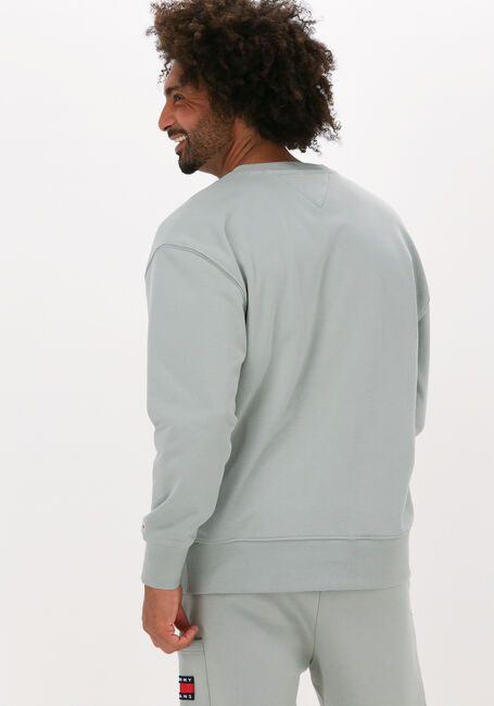 Olijf TOMMY JEANS Sweater TJM TONAL ENTRY GRAPHIC CREW - large