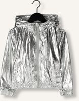 Zilverkleurig RAIZZED Jack MIRLE Zilverkleurig RAIZZED Jack MIRLE - medium