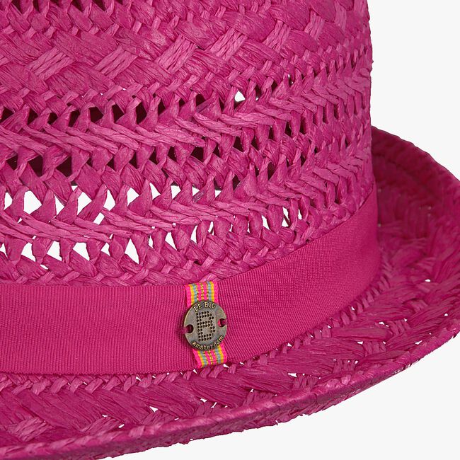 Roze LE BIG Hoed NEDA HAT - large