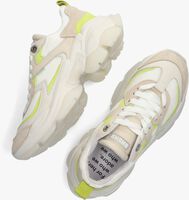 Beige BRONX Lage sneakers LINN-Y - medium