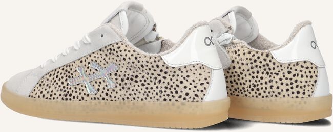 Beige HIP Lage sneakers H1886 Beige HIP Lage sneakers H1886 - large
