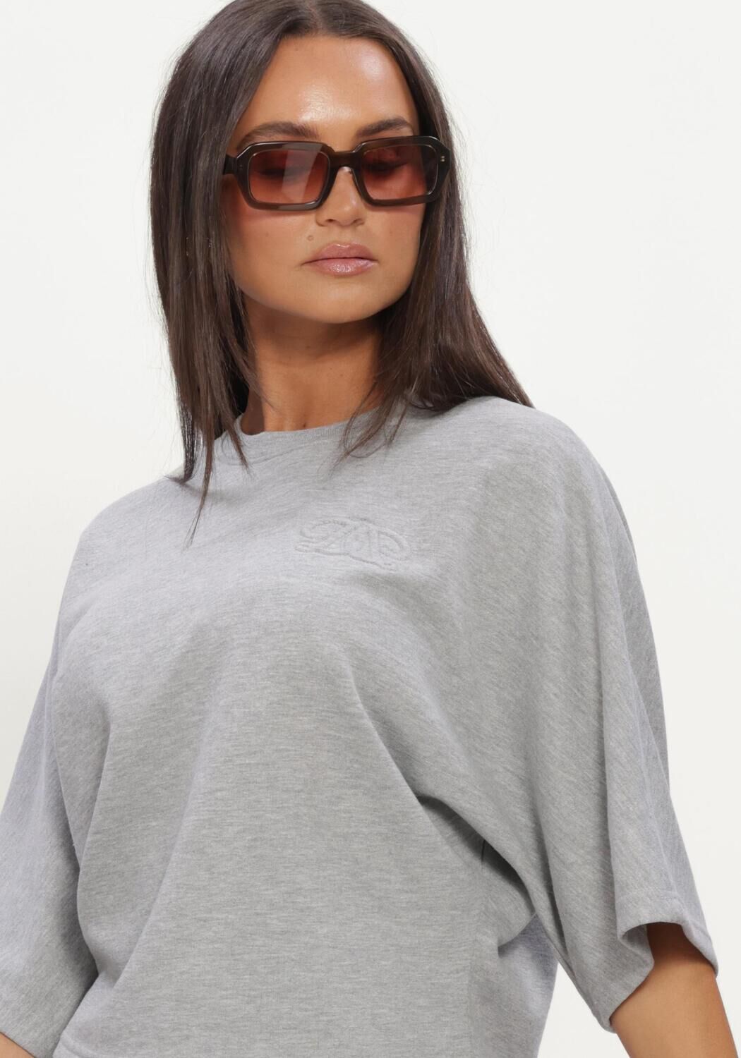 Grijze DANTE6 Truien/vesten DEVON WASHED BATWING SWEAT - large