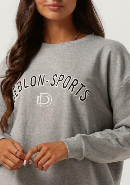 Grijze DEBLON SPORTS Trui GIGI - large