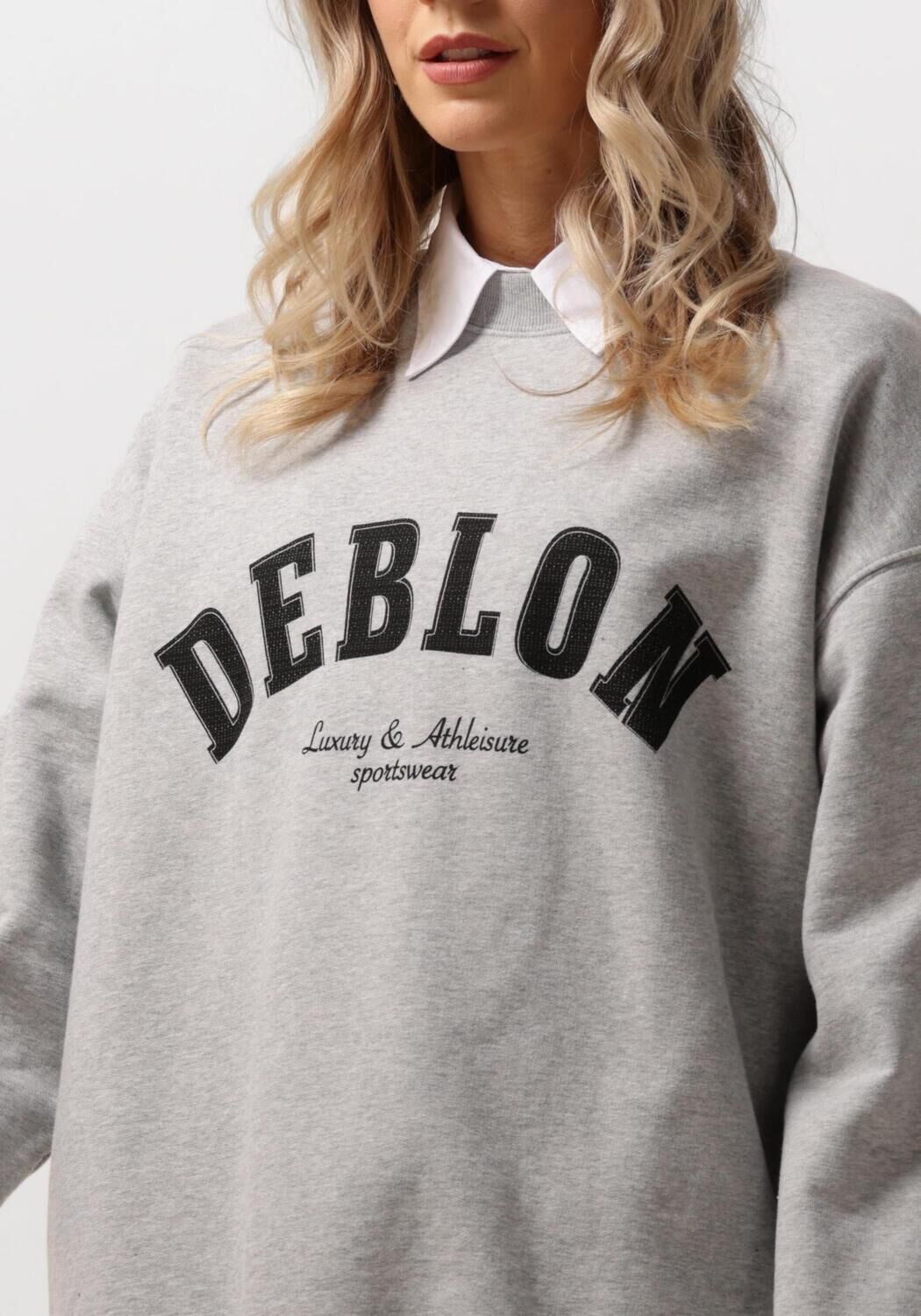 DEBLON SPORTS Dames Truien & Vesten Puck Sweater Grijs