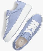 Blauwe GABOR Lage sneakers 460.1 - medium