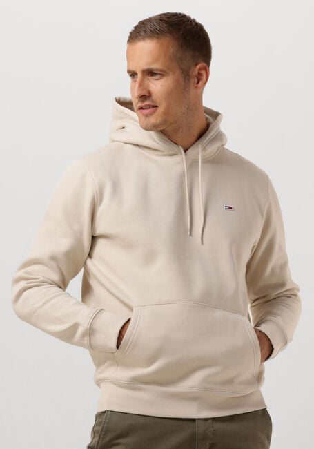 Beige TOMMY JEANS Sweater TJM REGULAR FLEECE HOODIE - large