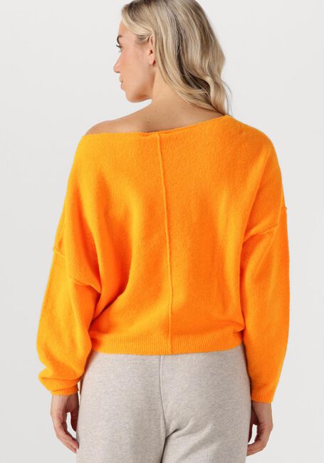 Oranje AMERICAN VINTAGE Trui DAMSVILLE - large