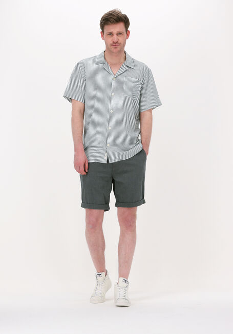 Donkergroene SELECTED MEN Korte broek SLHCOMFORT-LUTON FLEX SHORTS W - large