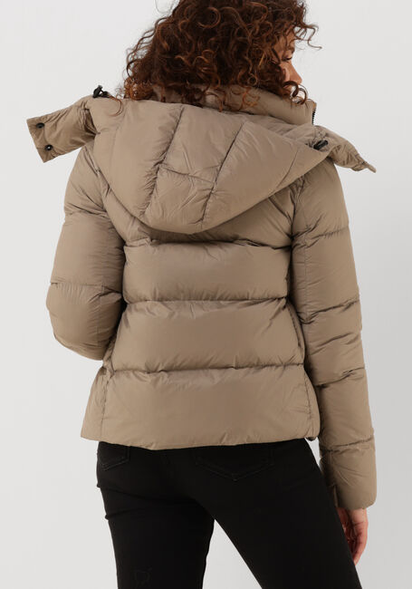 Taupe CALVIN KLEIN Gewatteerde jas CK MW DOWN SHORT PUFFER - large