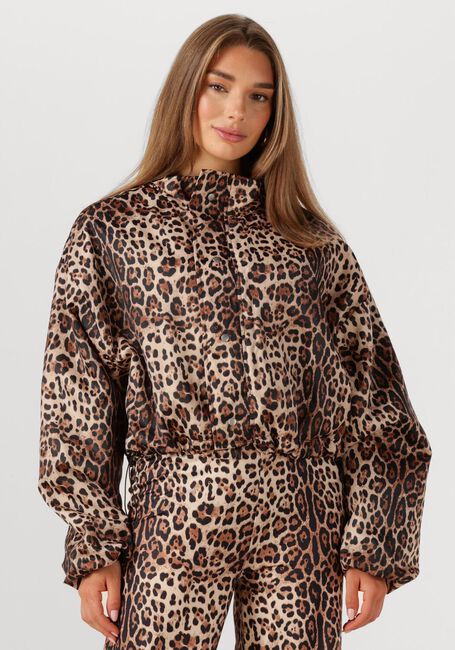 Bruine STUDIO AMAYA Jack FELINE - large