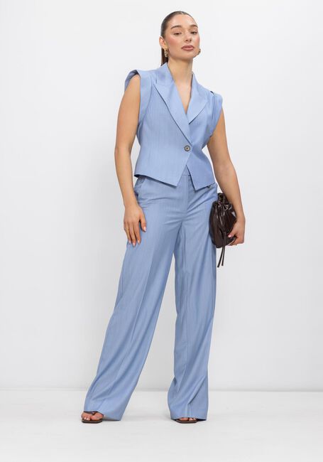 Blauwe CO'COUTURE Truien/vesten KIANACC PIN VEST - large