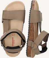 VINGINO COOL CRUISER VINGINO COOL CRUISER - medium