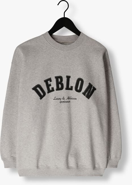 Grijze DEBLON SPORTS Sweater PUCK SWEATER - large