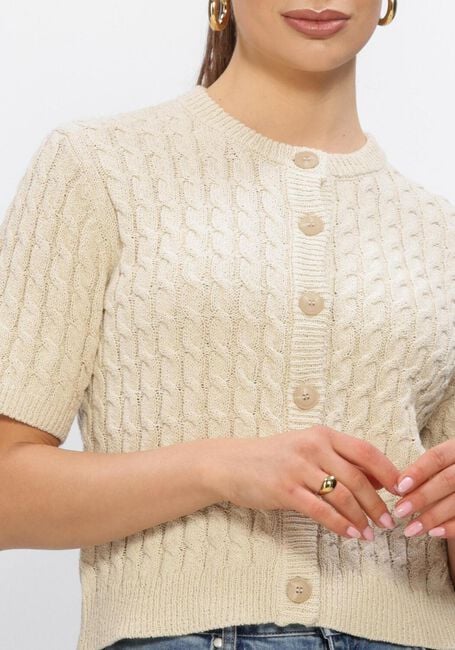 Bruine MY ESSENTIAL WARDROBE Vest DIVAMW KNIT CARDIGAN - large