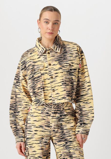 Blauwe HARPER & YVE Jack WILLOW-JA - large