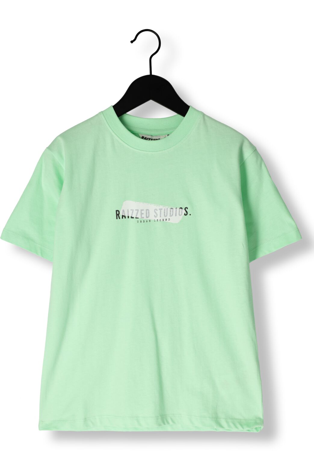 RAIZZED Jongens Polo's & T-shirts Hocking Mint