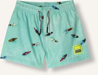 Blauwe MOLO Zwembroeken NIKO - medium