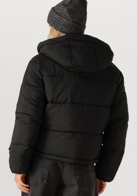 Zwarte TOMMY JEANS Gewatteerde jas TJW HOODED PUFFER JACKET - large