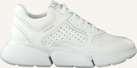 Witte COPENHAGEN STUDIOS Lage sneakers CPH411 - medium