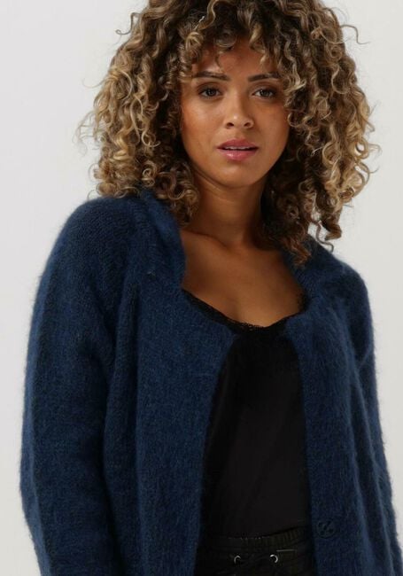 Blauwe BELLAMY Vest MABEL - large