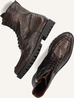 Bruine FRED DE LA BRETONIERE Veterboots MINOU DERBY Bruine FRED DE LA BRETONIERE Veterboots MINOU DERBY - medium