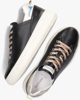 Zwarte NERO GIARDINI Lage sneakers 17050 - medium