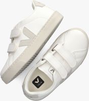 Witte VEJA Lage sneakers SV0503 - medium
