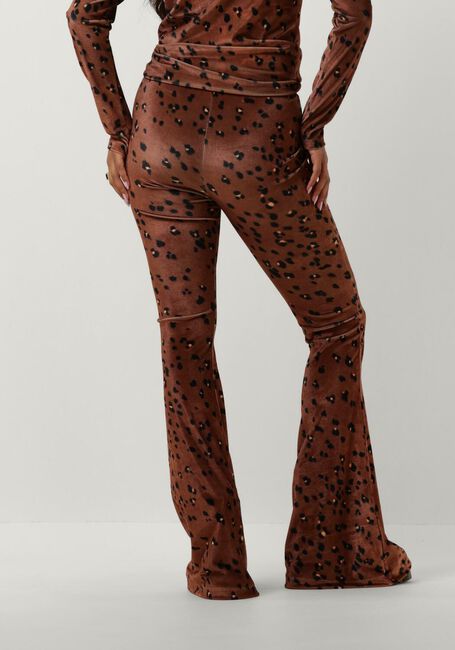 Bruine CATWALK JUNKIE Flared broek TR MEGAN - large