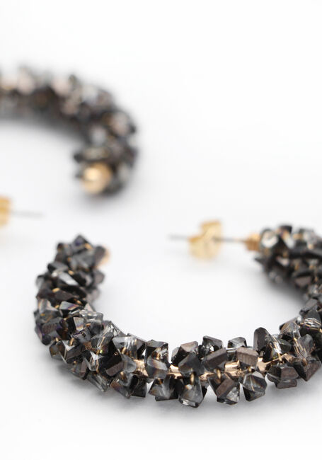 Goudkleurig NOTRE-V Oorbellen EARRING STONES - large