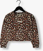 Bruine RAIZZED Sweater HANNA - medium