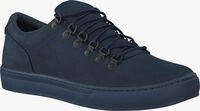 Blauwe TIMBERLAND Lage sneakers ADVENTURE 2.0 CUPSOLE ALPINE - medium