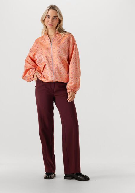 Multi STUDIO AMAYA Jack ALICE - large