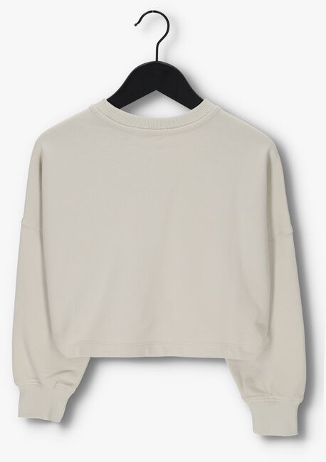 Beige CALVIN KLEIN Sweater MONOGRAM OFF PLACED SWEATSHIRT - large