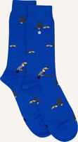 Blauwe ALFREDO GONZALES Sokken TOUCAN - medium