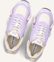 Paarse STEVE MADDEN Lage sneakers SPEEDSTER Paarse STEVE MADDEN Lage sneakers SPEEDSTER - medium