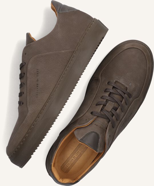 Taupe CYCLEUR DE LUXE Lage sneakers POGGIO Taupe CYCLEUR DE LUXE Lage sneakers POGGIO - large