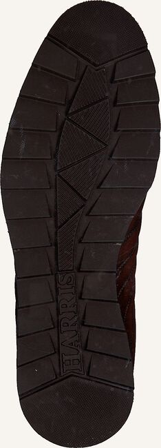 Cognac HARRIS Lage sneakers 5339 Cognac HARRIS Lage sneakers 5339 - large