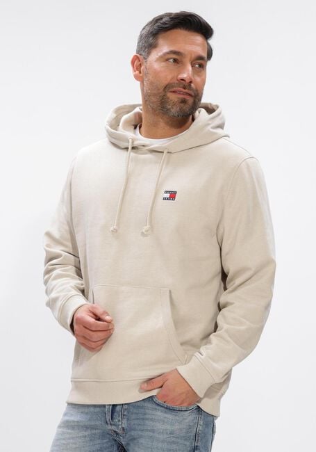 Beige TOMMY JEANS Sweater TJM REG LINEAR CREW EXT - large